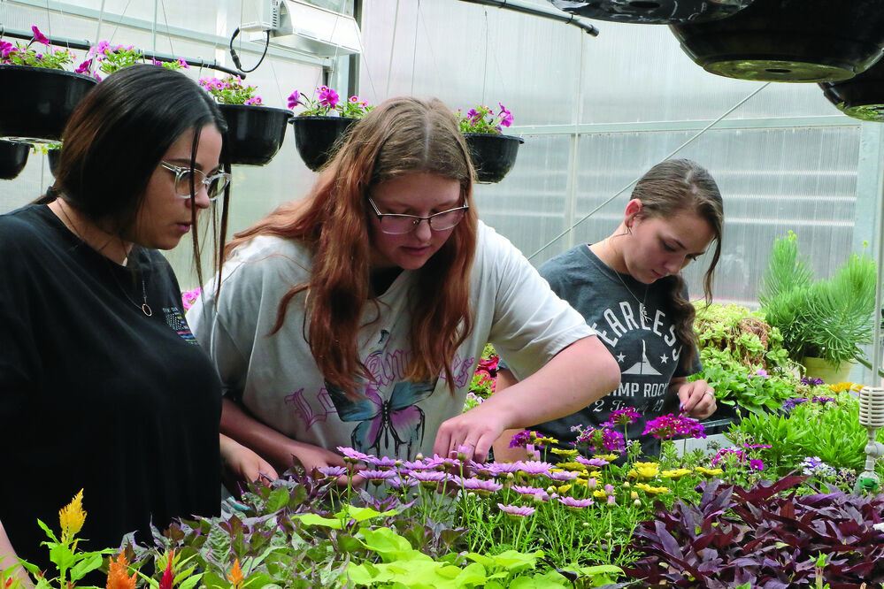 AG - SHS Horticulture Program PHOTO GALLERY